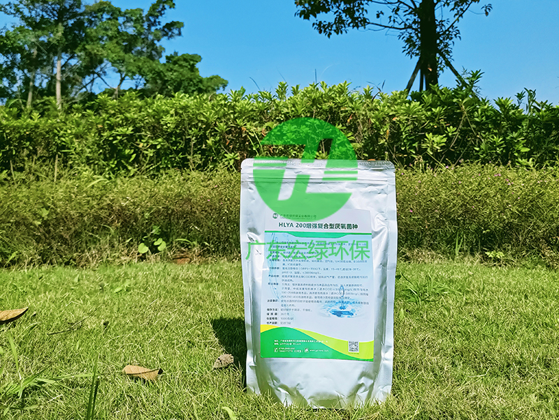 增強復(fù)合型厭氧菌種